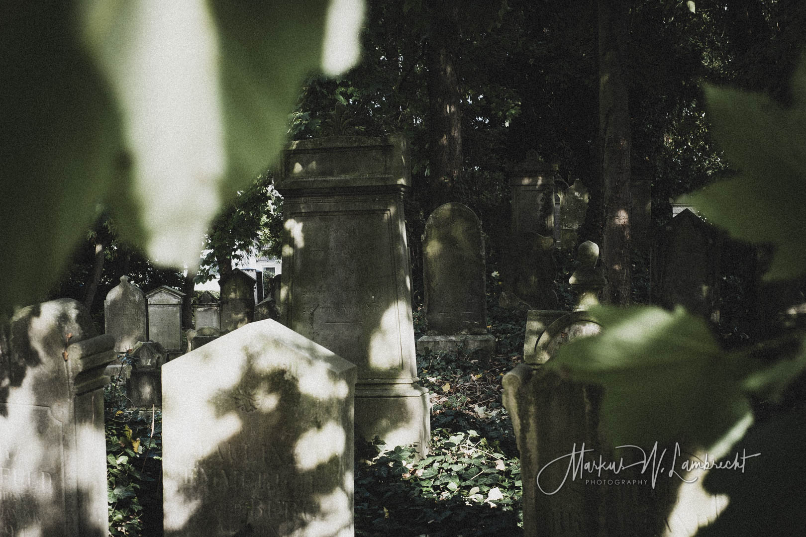 Steinheim (Westfalen), Jüdischer Friedhof